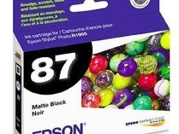 Epson Stylus Photo R1900 photo black Ink