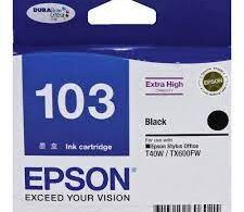Epson T1031 Black Ink