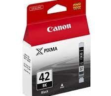 Canon Pixma Pro100 Black Ink