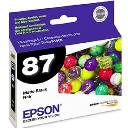 Epson R1900 Photo Black Ink