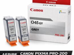 Canon 200 Grey Ink