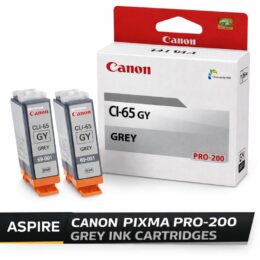 Canon 200 Grey Ink