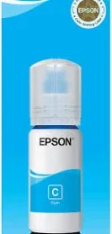 Epson T522 Cyan Bottle